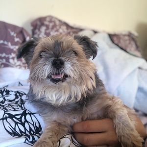 Meet your Posher, Janae